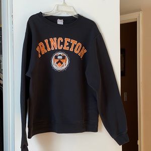 Slightly worn Princeton sweater!